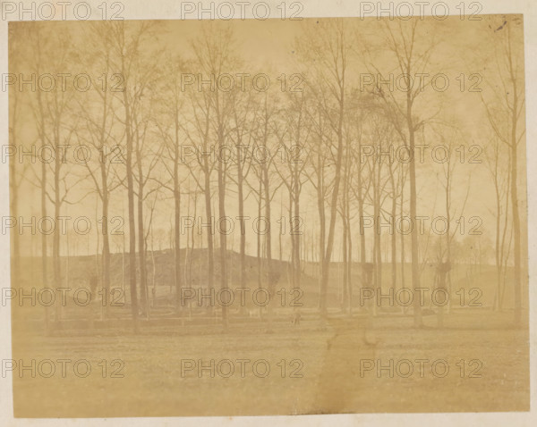 Landscape with trees, photograph, page, c. 1869 - in or before 1871, photographer, paper, albumen