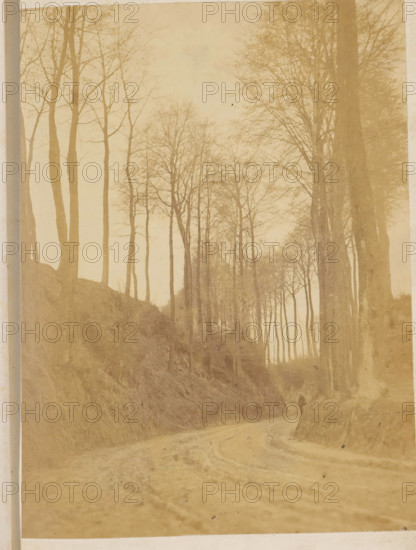 Dirt road between avenue of trees, photograph, page, c. 1869 - in or before 1871, photographer,