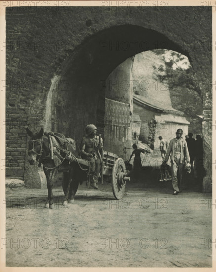 Unknown persons with horse and cart at a gate, page, photomechanical print, photographer: Donald