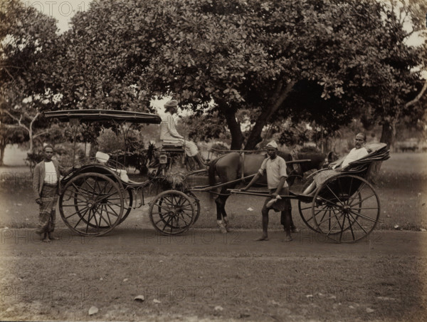 Horse and carriage and rickshaw, possibly in Ceylon, album page, photograph, Part of Album with 50