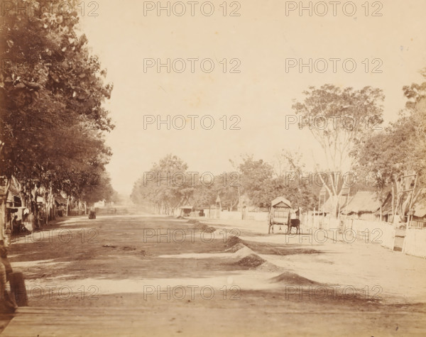 Street, Dutch East Indies ?, photograph, View of an unpaved road with a donkey cart, a series of