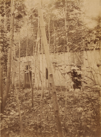 Dekema State in Weidum during the demolition, photograph, annotation: 'Weidum (Fr), Dekema State,
