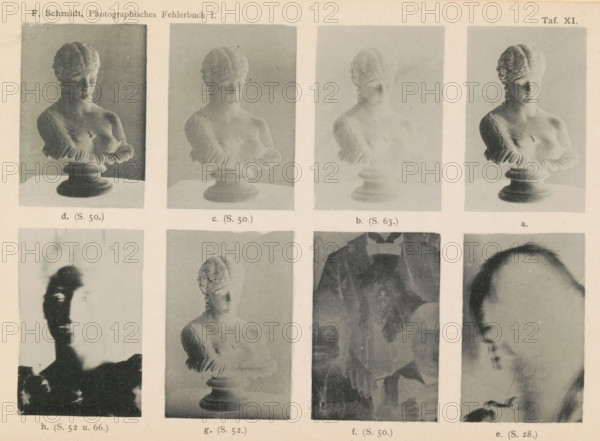 Eight examples of exposure studies, page, photomechanical print, inscription: 'd. (S. 50.) c. (S.