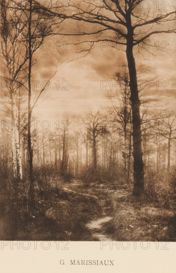 Landscape with trees, Sentiment d'Art en Photographie, photomechanical print, This print is part of