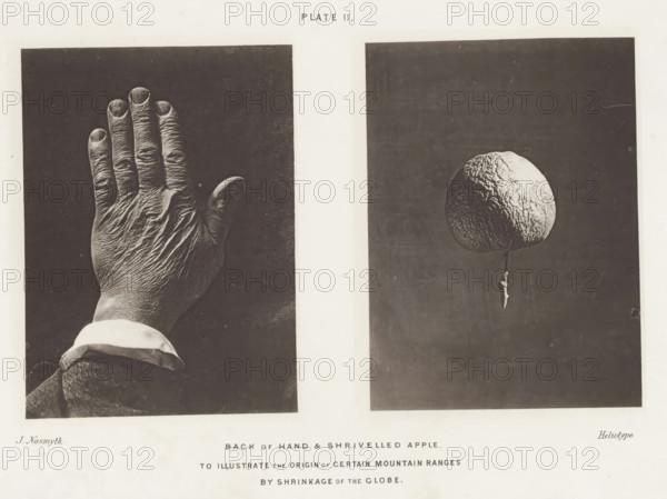 Back of Hand & Shrivelled Apple. To illustrate the origin of certain mountain ranges by shrinkage