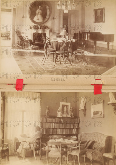 Biblioteket, Interior of the library of the Koivuniemi country house in Helsinki, photograph, page,