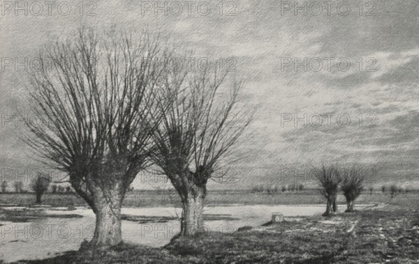 View of a number of trees by a water, page, photomechanical print, monogram: 'Leipzig, SG',