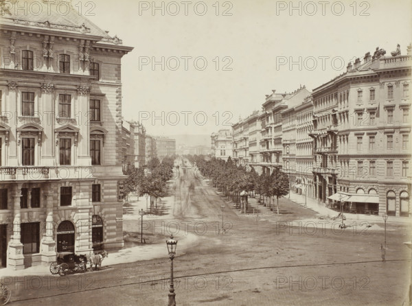 View of an Allee in Vienna, Wien, Vienna, Vienne, photograph, title, number: '20', signature,