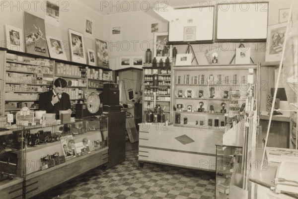 Interior of the Camera Shop in White Plains, New York, photograph, inscription: 'Camera Shop,