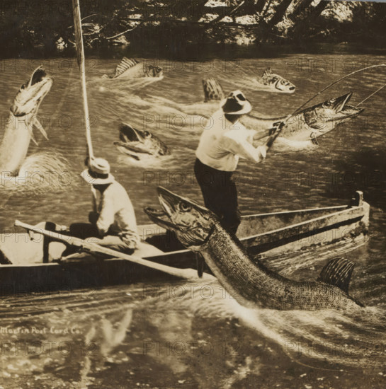 Photomontage of 3 men fishing in a boat among giant fish, picture postcard, inscription: 'Great