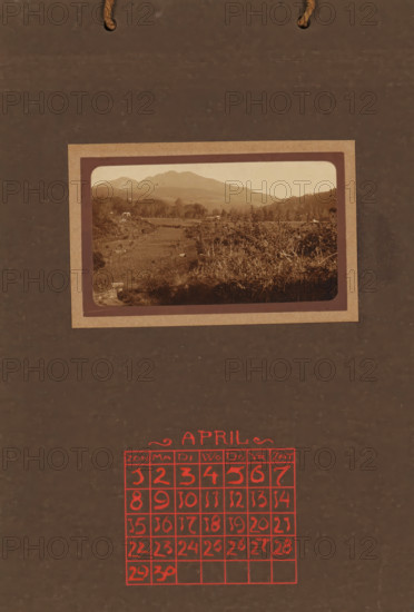 Landscape with rice fields, album page, photograph, This photo is part of an album., annotation: