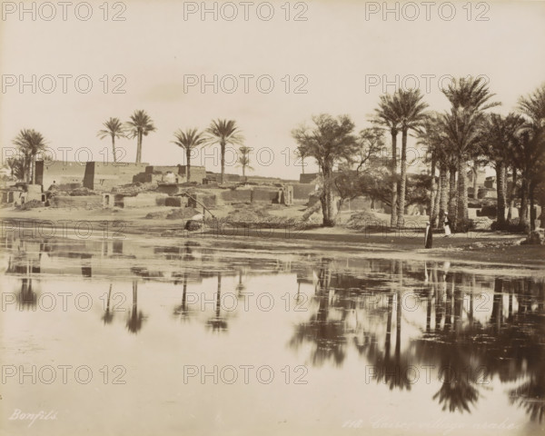 Village with palm trees by a body of water near Cairo, Caire, village arabe, photograph, Part of