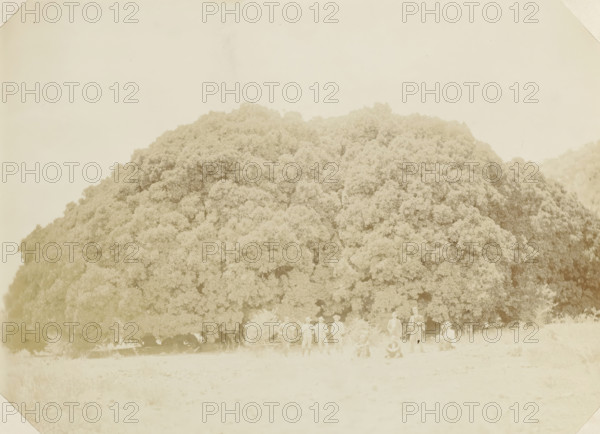 Europeans posing at Wonderboom in South Africa, Wonderboom, photograph, Part of Album with 191