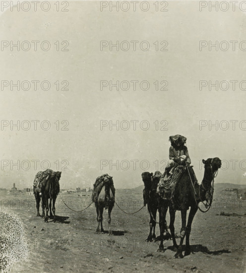 Caravan in the desert near Cairo, Cairo. Karawane in der Wüste, stereograph, number: '92', Cairo