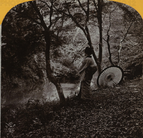 Woman with parasol in forest setting, Japan, stereograph, 1890 - 1910, photographer, paper,