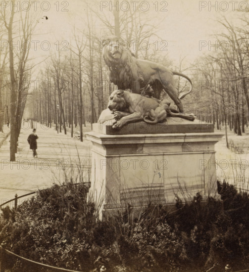 Group of lions in Tiergarten, Statue with a group of lions in Tiergarten, Berlin, stereograph,