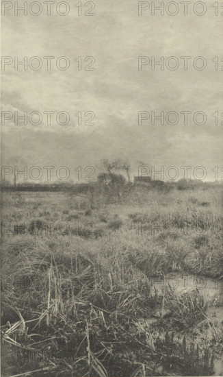 Gladden and Bent', Heathland landscape, photomechanical print, photographer: Alfred Horsley Hinton,