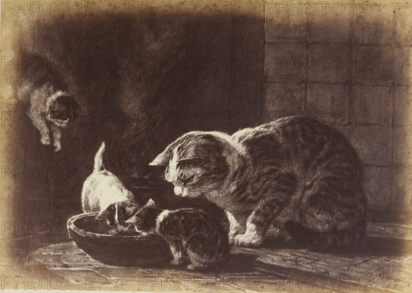 Photo reproduction of the painting 'After the meal' by Henriëtte Ronner, photograph, reproduction,