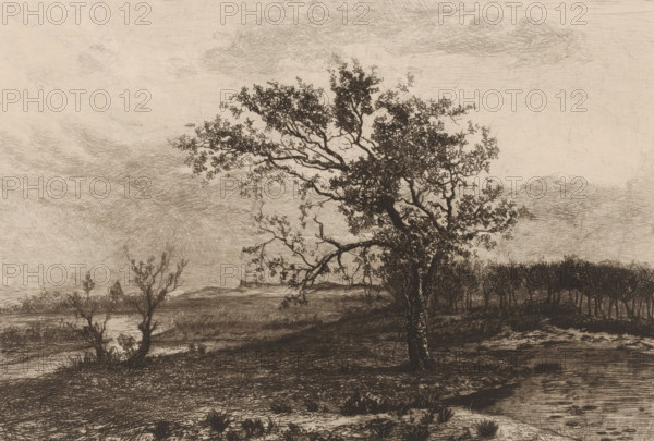 Landscape in the Kempen, print, printmaker: Jerôme Tuyttens (signed by artist), c. 1850 - 1883,