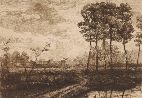 Landscape with row of birches, print, printmaker: Jerôme Tuyttens (signed by artist), c. 1850 -