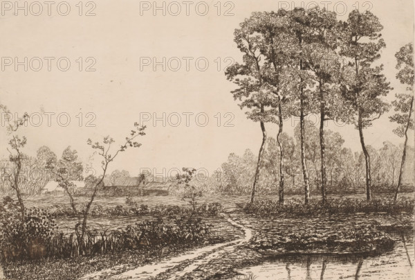 Landscape with row of birches, print, printmaker: Jerôme Tuyttens (signed by artist), c. 1850 -