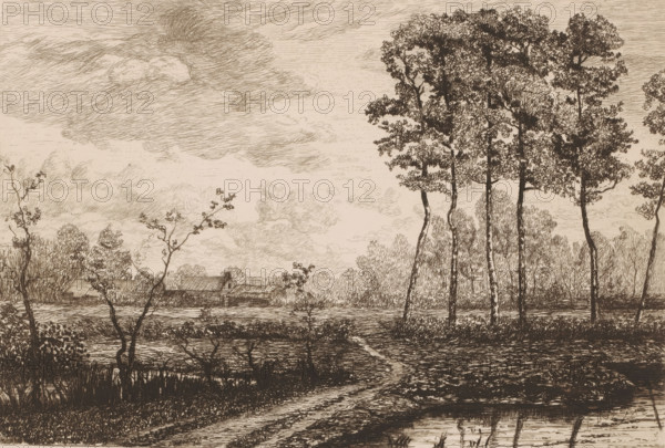 Landscape with row of birches, print, printmaker: Jerôme Tuyttens (signed by artist), c. 1850 -