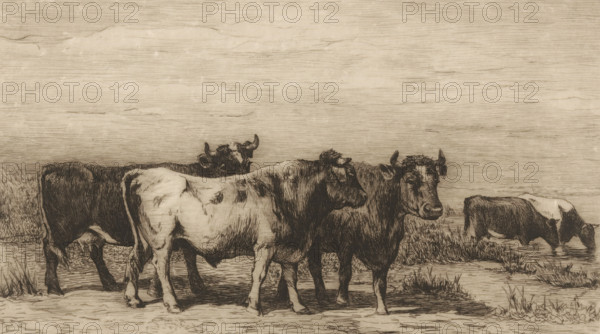 Landscape with cattle (original title), print, printmaker: Philip Zilcken, after design by Johannes