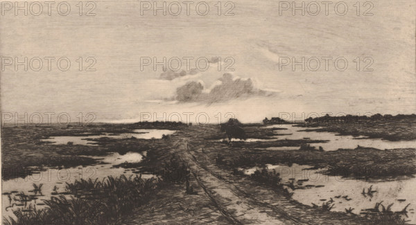 Swampland at dusk, print, printmaker: Emile de Baré (signed by artist), 1865 - 1902, paper,
