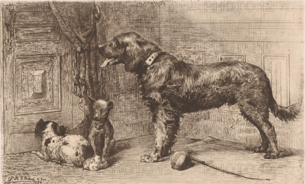 Three dogs waiting by a door, print, printmaker: Charles Hubert Denis Boland, printer (person): F.