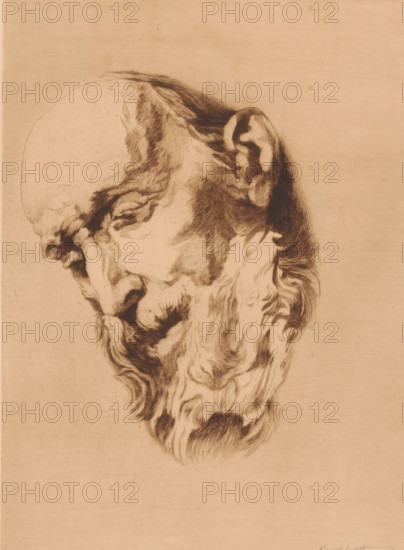 Head of a bearded old man looking down, print, annotation: '1er état, deux epreuves', printmaker: