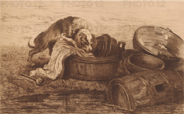 Dog in a washing up bowl at the edge of the water, print, annotation: 'd'apres Rubens, 1er état',