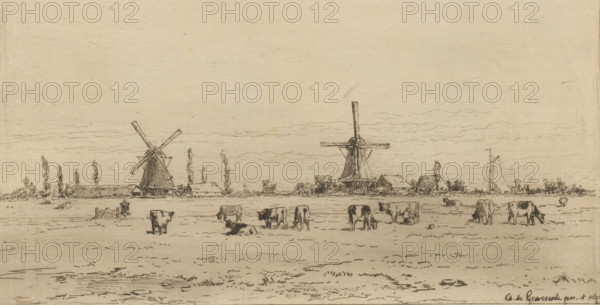 Polder near Weesp, Un polder près de Weesp (original title), print, View of a meadow with cows. Two