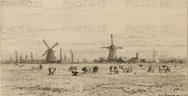 Polder near Weesp, Un polder près de Weesp (original title), print, View of a meadow with cows. Two