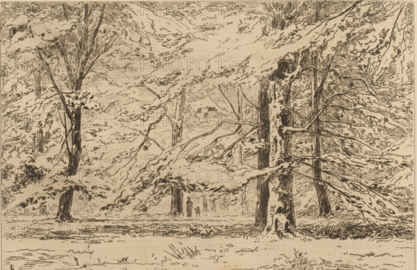 In the park of Groeneveld Castle (original title), Trees on the Groeneveld Castle estate, The