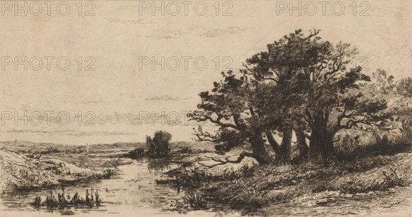 Landscape with oak trees near Wolfheze, Vieux chênes à Wolfhezen (original title), Sketches of