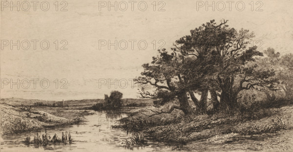 Landscape with oak trees near Wolfheze, Vieux chênes à Wolfhezen (original title), Sketches of