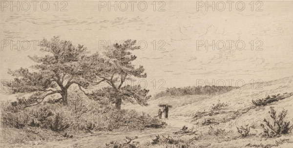 The Heather at Worth-Rheden (original title), Heathland landscape near Worth-Rheden, print, In the