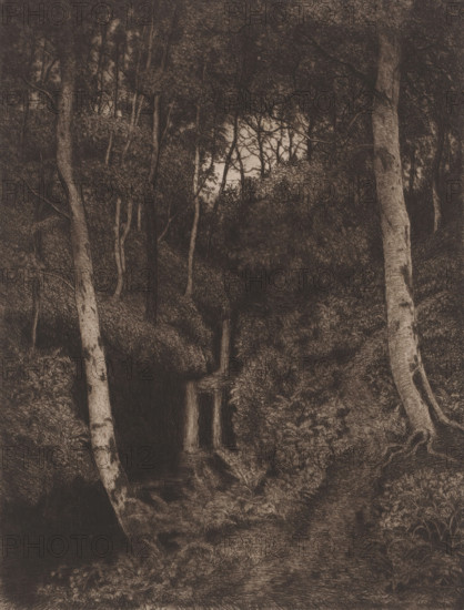 Birch forest with waterfall, print, printmaker: Alfred Elsen, 1860 - 1910, paper, chine collé,