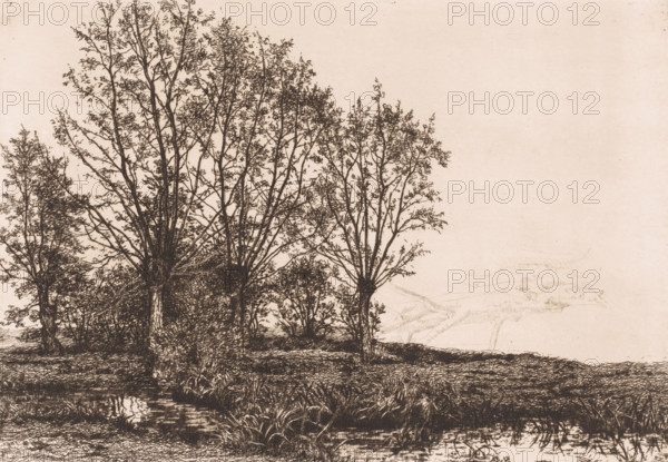 Landscape with four willows and a brook, print, inscription: 'Paysage over quatre ..., 1e Etat',