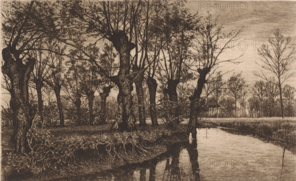 Willows along the bank of a brook, print, mark: 'Antwerpsche Etsers 1880', printmaker: Alfred