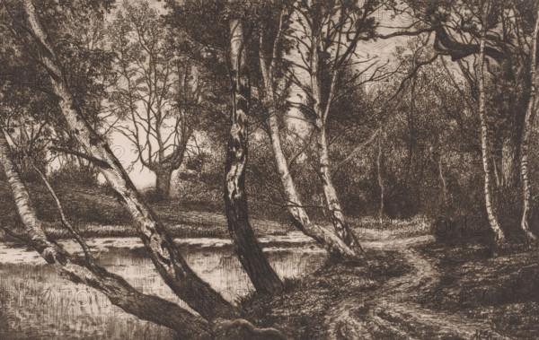 Landscape with birch trees along a bank, print, printmaker: Alfred Elsen, 1860 - 1910, paper, chine