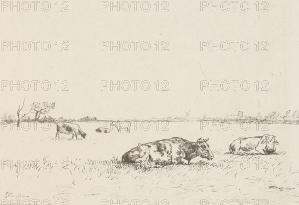 Vaches au paturage (original title on object), Meadow with cows, print, printmaker: Alphonse