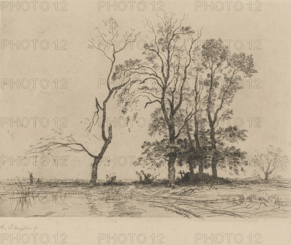 Five trees by a lake, print, Five trees and a low haystack at the edge of the Kagermeer.,