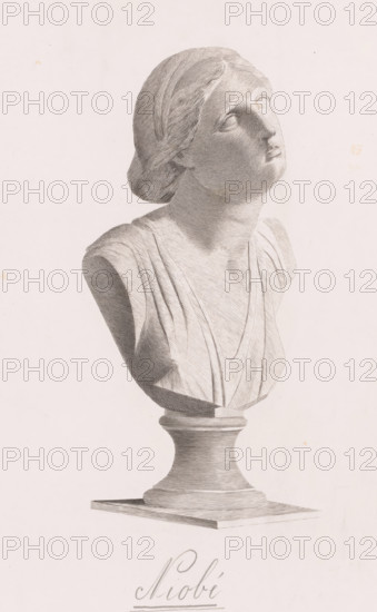 Bust of Niobe, Niobé, print, annotation: 'Epreuve achevée', printmaker: J. Gubel (signed by