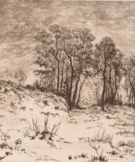 Winter landscape, Nivose, print, annotation: '1', printmaker: Jules Guiette, 1862 - 1901, paper,
