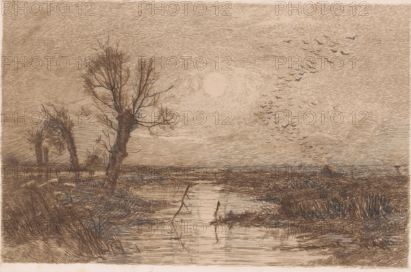 Swamp with four willows, print, annotation: '1er Etat', printmaker: Jules Guiette, 1862 - 1901,