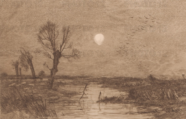 Swamp with four willows, print, annotation: 'Le marais avec les quatre saules, 1er Etat',