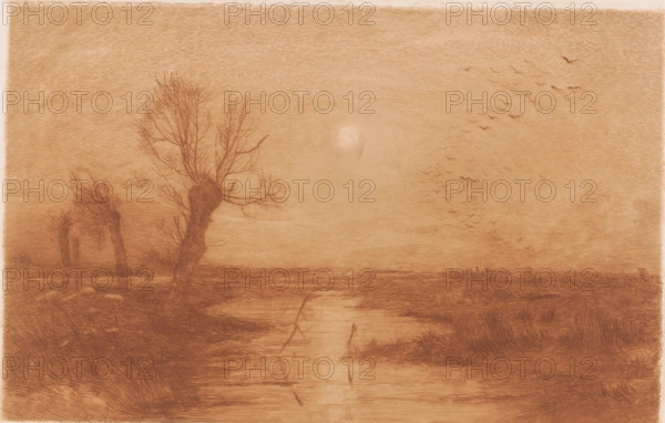 Swamp with four willows, print, annotation: '2nd State', printmaker: Jules Guiette, 1862 - 1901,