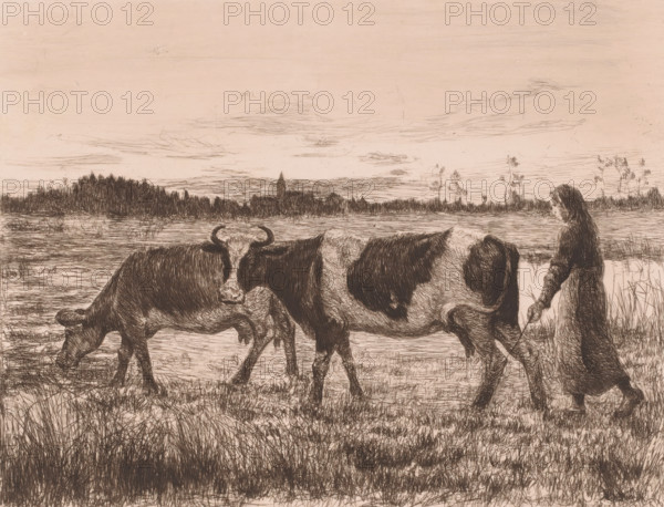 Two cows with a farmer's wife in a landscape, print, printmaker: Léopold Haeck (signed by artist),