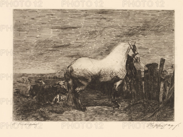 Landscape with horse and three cows, print, printmaker: Karel Theodoor Hippert, after design by